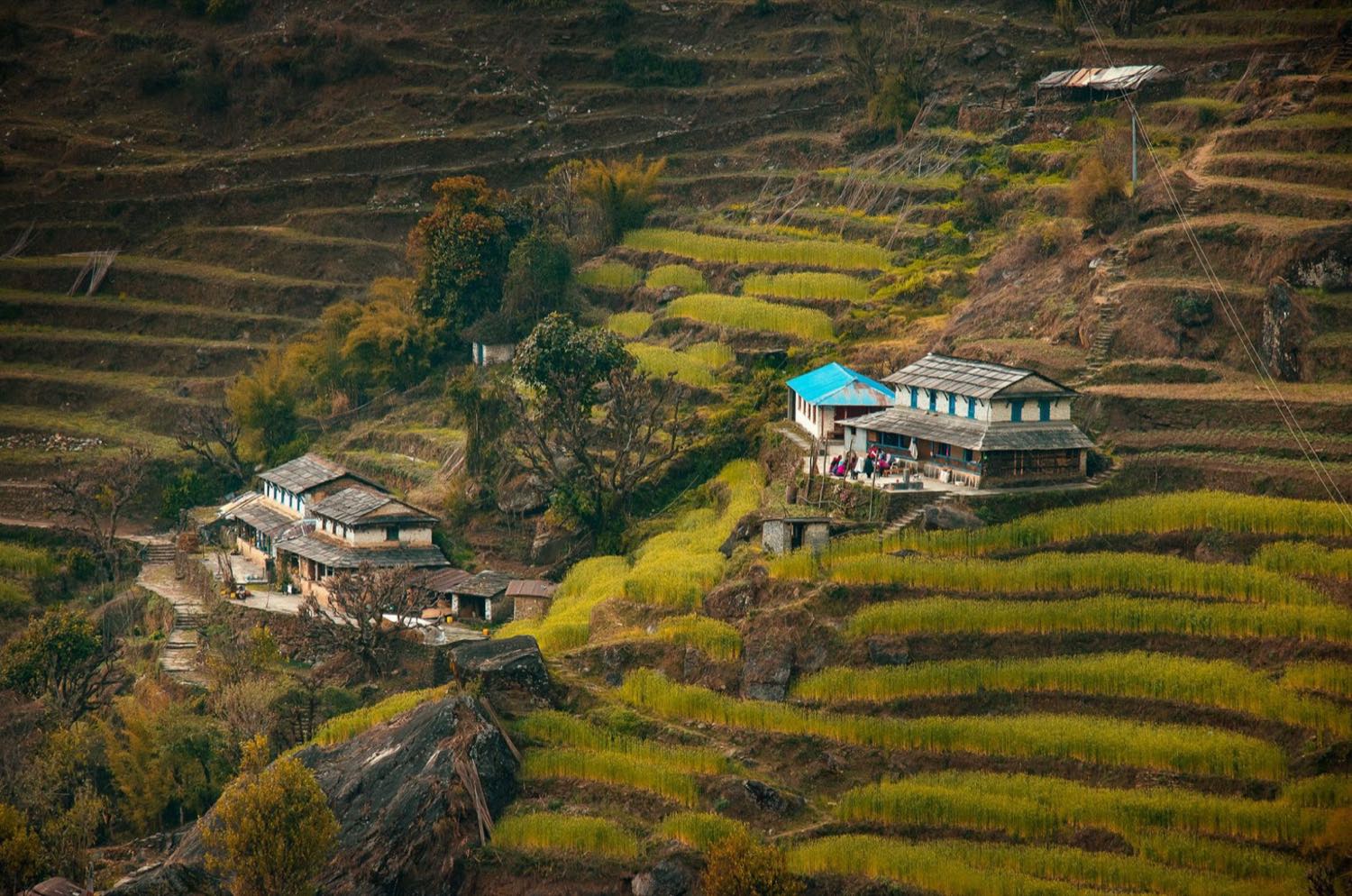 Village de Ghandruk face au massif des Annapurnas