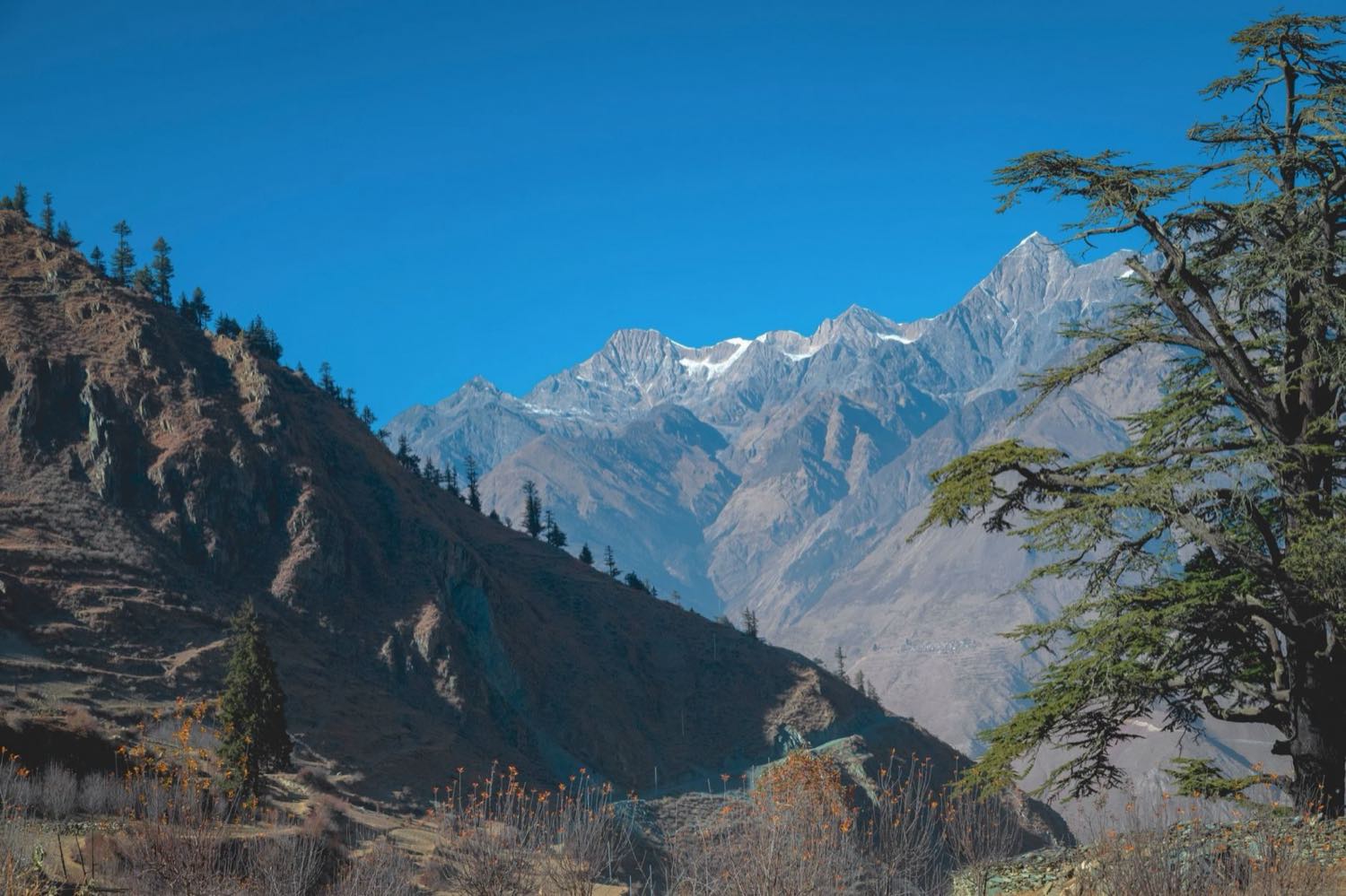 Sentier de trek dans l'Himalaya népalais sous un ciel dégagé